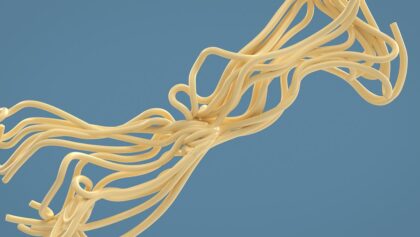 x particles spagetti thumbnail