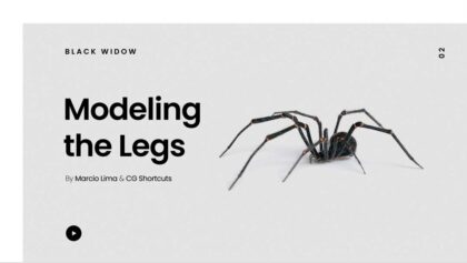 2 Modeling the Legs