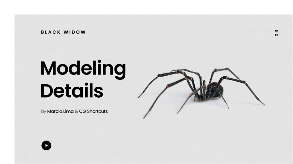 3 Modeling Details