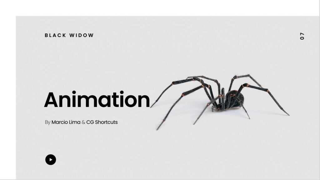 7 Animation