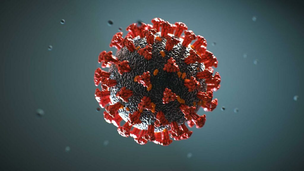 coronavirus 1