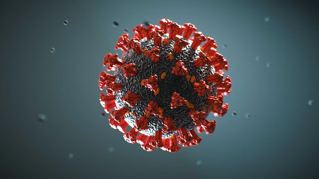 coronavirus 1