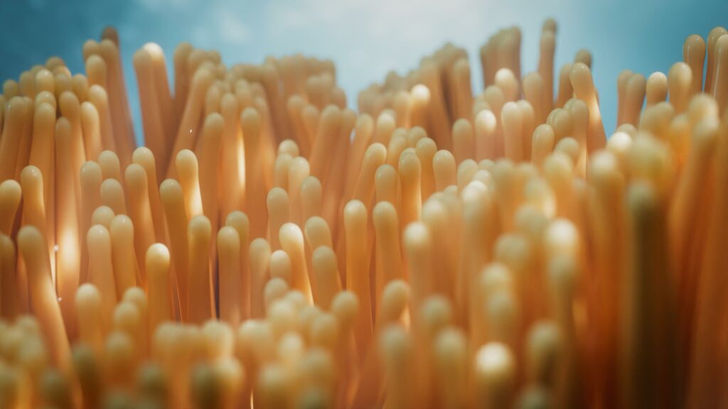 underwater anemone